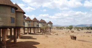 3 Tage Tsavo & Taita