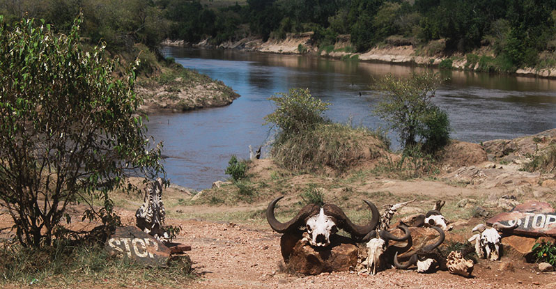 Mara River 01